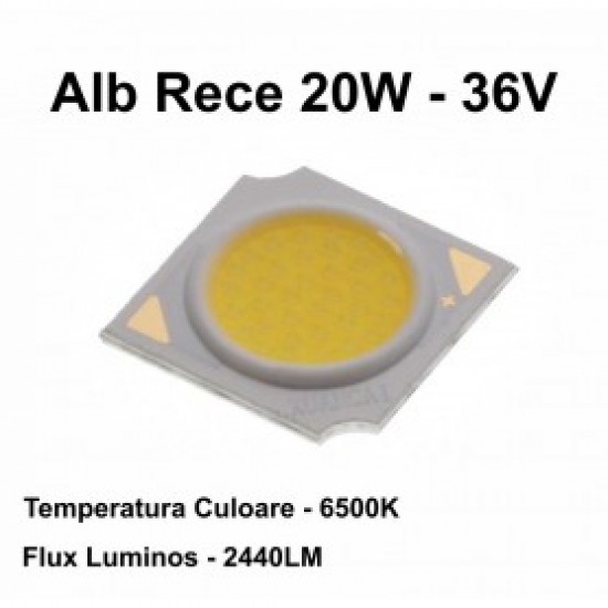 Led Cob 20W, 13,5mm, 6000 - 6500K / Alb-rece
