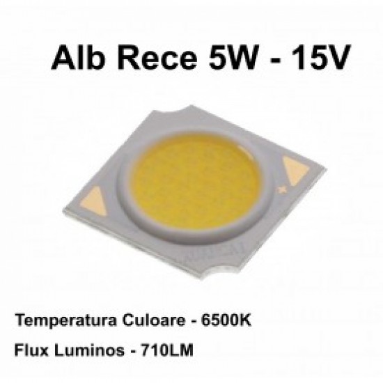 Led Cob 5W, 13,5mm, 6000 - 6500K / Alb-rece 